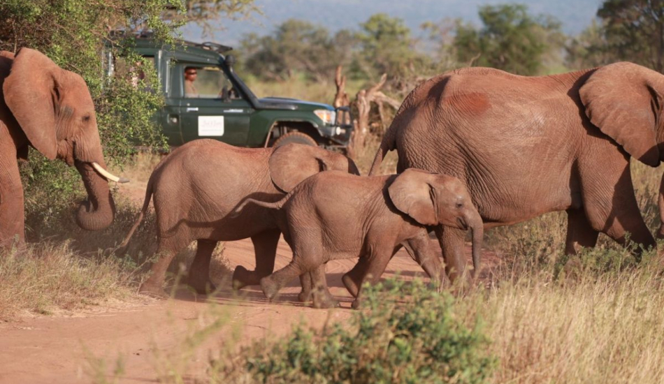 3 Days Samburu Flying Safari